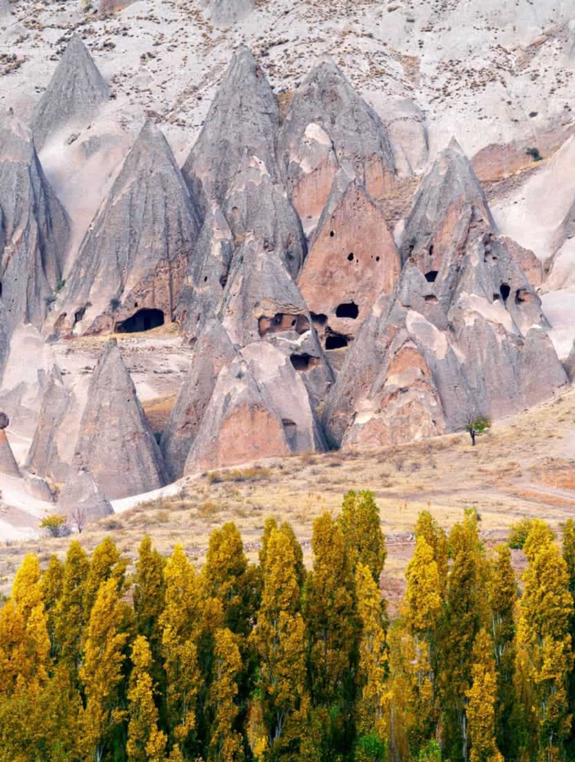 Fairy chimneys with cave dwellings above a row of poplar trees