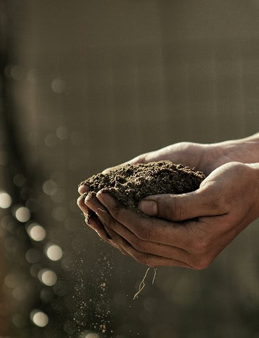 Hands holding a handful of soil